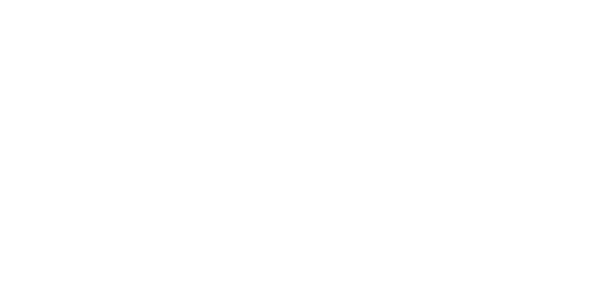 UAFE